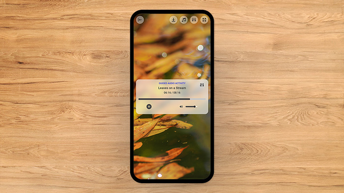 Leaves on a Stream Tool Preview 1